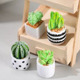 Fleurs décoratives 1/4 pièces résine artificielle cactus en pot mini plantes succulentes moussues pour la décoration de table de bureau à domicile micro paysage