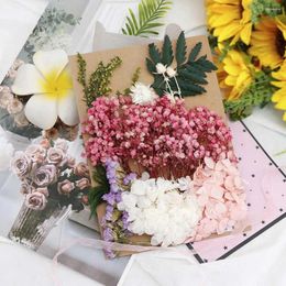Fleurs décoratives 1 sac, durables, faciles à entretenir, fleurs séchées artistiques, accrocheuses, large Application, décor délicatement coupé