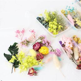 Decoratieve Bloemen 1 Doos Gedroogde Bloem Echte Droge Planten Voor Kaars Epoxy Hars Hanger Ketting Sieraden Maken Craft DIY