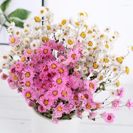 Decoratieve Bloemen 1 Bos Natuurlijke Gedroogde Geconserveerde Rudan Vogel Boeket Mariage Cadeau Voor Bruiloft Thuis Decoracion Flores Secas Props P