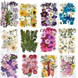 Decoratieve bloemen 1 Pack Gedroogde bloem droge planten voor doe -het -zelf kaarsen epoxy hars hanger ketting sieraden maken ambachtelijke nagelrol decoratie