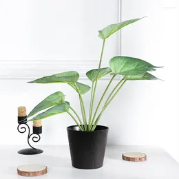Fleurs décoratives 1 pcs 34 cm (h) Spring Taro feuille en pot plante à la maison maison de salle à manger décoration de bureau et ornements de bureau