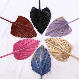 Fleurs décoratives 1 Pcs Bohemian Tropical Fan Feuille Coloré Palm Spears Plante Séchée DIY Naturel Garni Décoration De Fête Feuilles