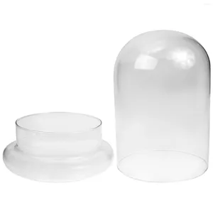 Decoratieve bloemen 1 Set glas Terrarium Bloembedekking Dome Display Container Cloche