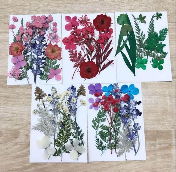 Flores decorativas 1 juego de hojas de flores prensadas secas mixtas, herbario de plantas para joyería, postal, marco de Po, funda para teléfono, fabricación de bricolaje, 5 diseños