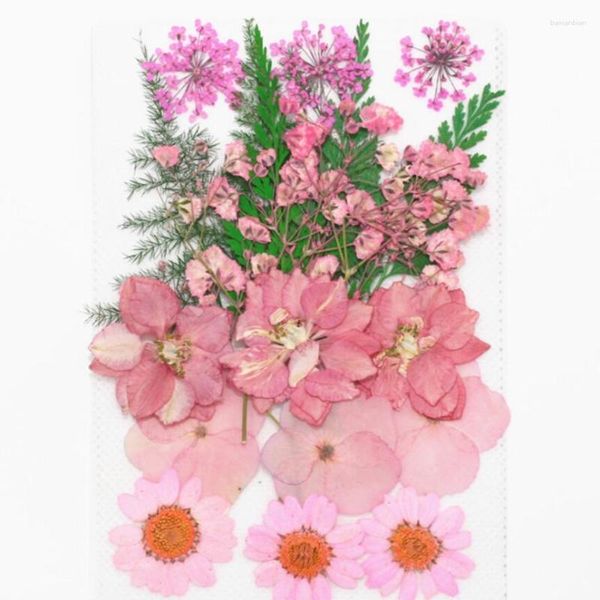 Fleurs décoratives 1 Ensemble de fleurs pressées séchées mélangées Plantes Herbier pour la bijoux Poste PO Cadre Téléphone Making DIY