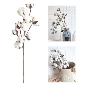 Fleurs décoratives 10 têtes Plantes artificielles de fleur de coton séché naturel