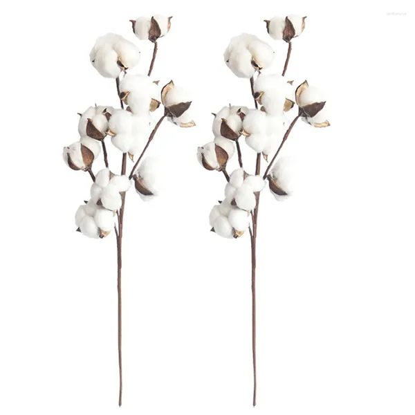 Fleurs décoratives 10 tige de coton séché naturel Style ferme fleur artificielle remplissage branche rustique pour bricolage fête de mariage à la maison
