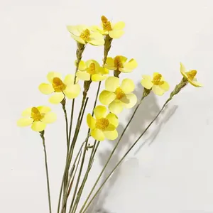 Fleurs décoratives 10 PC