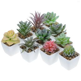 Fleurs décoratives 10 pièces plantes artificielles succulentes figurines de cactus miniatures modèles bonsaï en pot micro paysage plantes succulentes en plastique