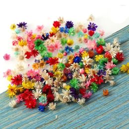 Decoratieve Bloemen 100/200 Stuks Gedroogde Kleine Ster Bloem Voor Diy Epoxyhars Kaars Maken Sieraden Glas Vulling Art Craft decor