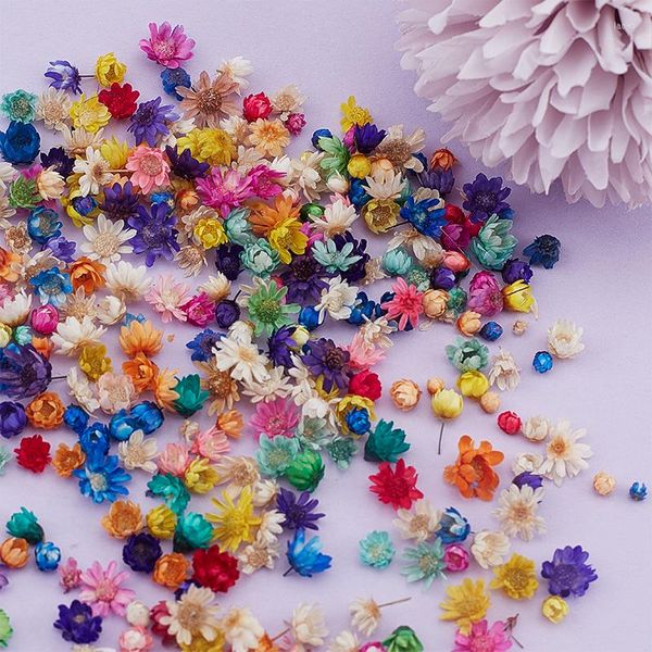 Fleurs décoratives 100/200 pièces, vraies petites fleurs séchées du brésil, pour bricolage, artisanat d'art, résine époxy, fabrication de bougies, bijoux