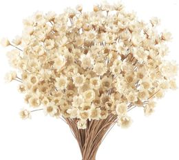 Decoratieve bloemen 100 pc's Gedroogd boeket Witte Daisy Flower Wildflowers Floral Braziliaanse kleine ster voor bruiloft