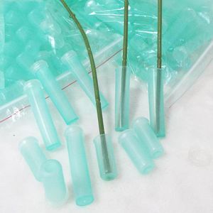 Fleurs décoratives 100 PCS Flower Growing Vials Clear Vase Stem Floral Water Tube Bottle Straw