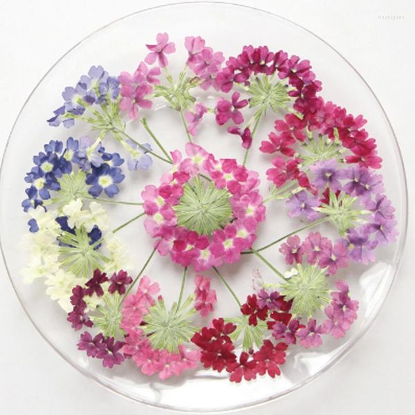 Flores decorativas 1000 piezas Verbena con tallos espécimen secado natural para velas perfumadas decoración envío gratis