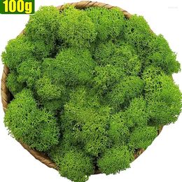 Fleurs décoratives 100g Simulation de mousse artificielle Éternel Life Green Plantes Mini paysage fausse herbe DIY CORT