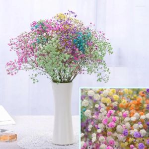 Decoratieve bloemen 100g grote bos BabysBreath natuurlijke gedroogde geconserveerde gypsophila bloem paasdecoratie 2023 feestartikelen moederdag lente 2024304