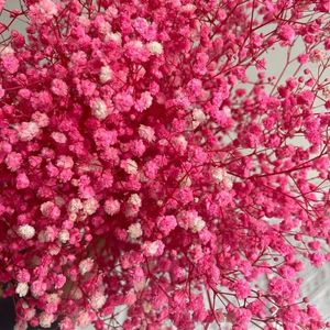 Fleurs décoratives 100g Dekoration BabysBreath Gypsophila Naturel Séché Préservé Bouquet Décoration De Noël 2023 Intérieur Mariage De Mariée