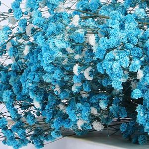 Fleurs Décoratives 100g Têtes Bébés Séchés À L'haleine Naturelle Fraîche Sec Préservée Gypsophile Décoration De Mariage Saint Valentin Cadeau Pampa