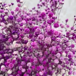 Fleurs décoratives 100g Têtes Bébés Séchés À L'haleine Naturelle Fraîche Conservée À Sec Gypsophile Année De Mariée Décorations 2023 Flor Artificielle P