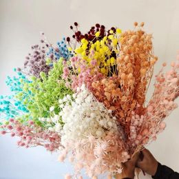 Fleurs décoratives 100g Lover immortel fleur de fruit Small Parsley DIY MATÉRIEL BOUQUET FRAIS ARGAGE DE DÉCOR