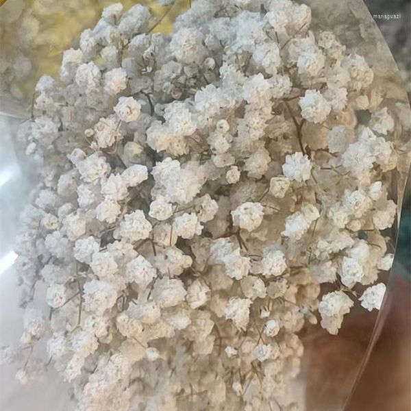 Fleurs décoratives 100gGypsophila Baby Breath Million Stars Plante Naturelle Préservée Séchée Maison Mariage Articles De Noël Avec Navire Libre