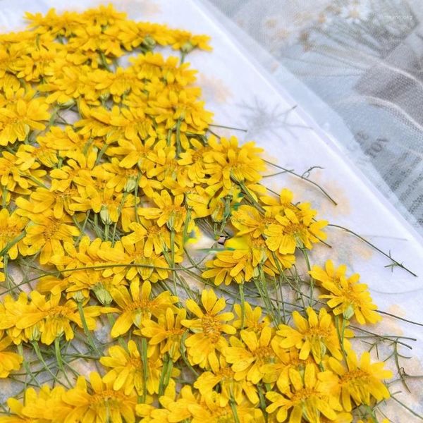 Flores decorativas 100 uds/6-10cm naturaleza en relieve crisantemo ramas de manzanilla DIY funda de teléfono arte de uñas decoración de cara flor seca