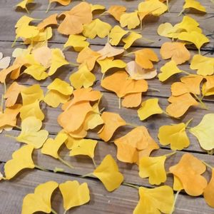 Fleurs décoratives 100 pièces feuilles de Ginkgo artificielles fausse feuille tombante atmosphère d'automne décoration de la maison jaune Po accessoires fête de vacances