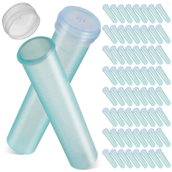 Fleurs décoratives 100 pièces Tubes de fleurs en plastique récipients d'eau de Test réutilisables avec capuchon en Silicone pour plantes