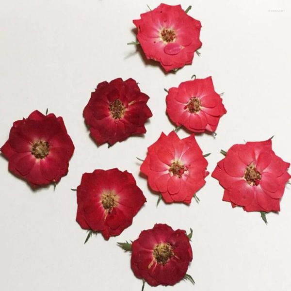 Fleurs décoratives 100 pièces pressées séchées rouge/Rose Rose fleur pour fête de mariage maison pendentif collier artisanat bricolage Bouquet accessoires