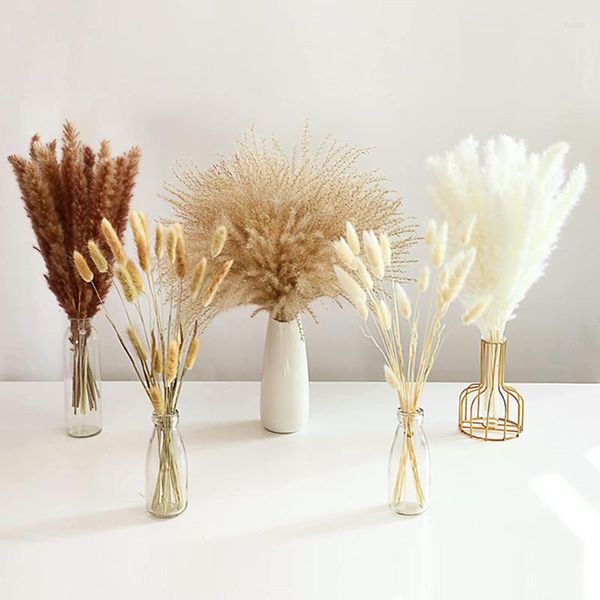 Flores decorativas 100 unids/set ramo de hierba de pampa hecho de colas secas naturales caña pomposa marrón alrededor de 19 pulgadas