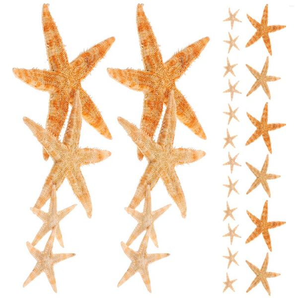 Fleurs décoratives 100Pcs Starfish Orner Shell Decor Desktop Diy Craft