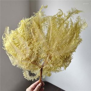 Decoratieve bloemen 10 stks/ongeveer 30 40 cm droge natuurlijke frisse bracken verschillende vormen en maten Crape Myrtle Home Wedding Decoratie