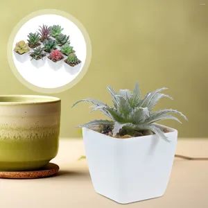 Fleurs décoratives 10 pièces, fausses plantes succulentes artificielles en Pot, fausses plantes, petite décoration minuscule