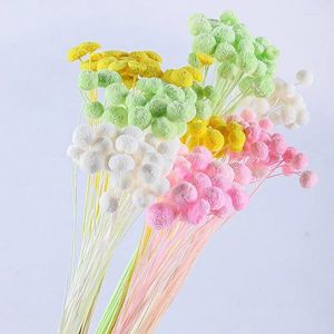 Decoratieve bloemen 10 stks gedroogde knop chrysanthemum verse bloem diy materiaalpakket hoge kwaliteit geschenkarrangement bruiloft decoraties