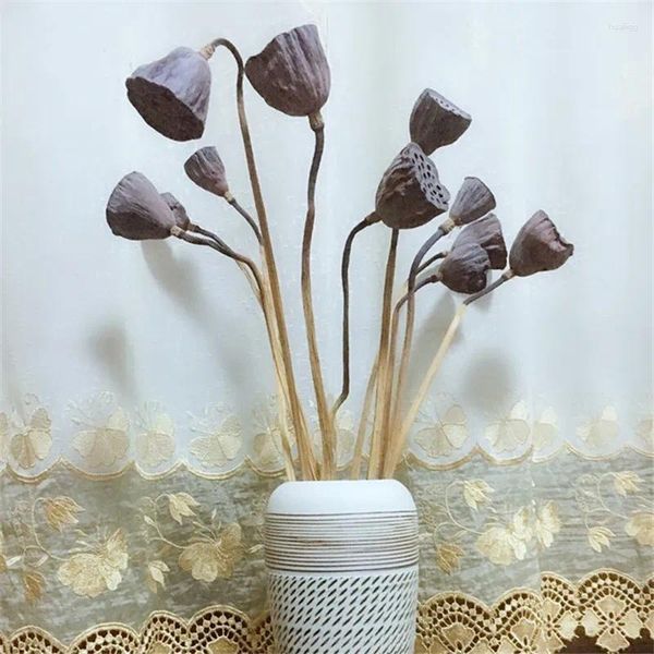 Fleurs décoratives 10 pièces, gousses de fleurs séchées avec tiges, bonsaï, graines de vraies plantes pour décoration de maison, sans Vase