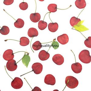 Fleurs décoratives 10pcs Séché Pressé 1.5-2cm Fruits Cerise Tranches Plante Herbier Pour Bijoux Po Cadre Téléphone Cas Signet Carte Postale Faire