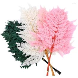 Fleurs décoratives 10 pièces sèches naturelles fraîches plantes conservées fougères éternelles feuilles séchées décoration de fête bricolage bouquets de mariage douche nuptiale maison