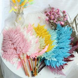 Flores decorativas 10 Uds. Rama eterna hecha naturalmente hoja de helecho alpino boda fiesta hogar Decoración Accesorios DIY Material decoración