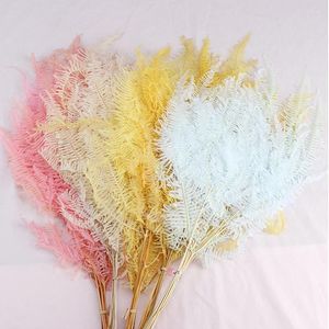 Fleurs décoratives 10PCS Feuilles de fougère séchées éternelles Naturel préservé Osmunda Japonica Bouquet Matériaux de bricolage Fleur Fête de mariage Maison