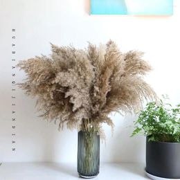 Fleurs décoratives 10pcs Pampas moelleux Grass Boho Decor Natural Flower Plant Rosel Party Mariage Home Decoration Arrangement