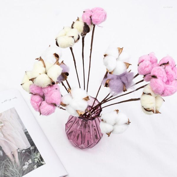 Fleurs décoratives 10 pièces coton naturel séché ameublement décoration de mariage branche de fleur blanche Simple moderne