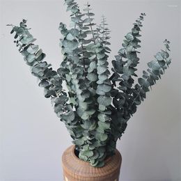 Fleurs décoratives 10 pièces paquet d'eucalyptus séché naturel conservé branches fraîches plantes de verdure pour décor de douche