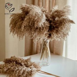 Fleurs décoratives 10 pièces naturel séché moelleux Pampas herbe fouet Bouquets jardin décoration de la maison en plein air noël automne décor de mariage