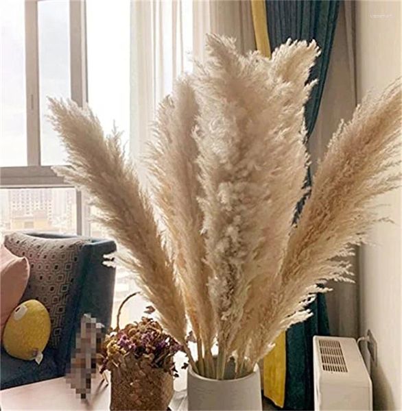 Fleurs décoratives 110 - 120 cm de pampas moelleux séchées gras grand panache en gros de mariage boho décor de mariage naturel réalité fleuris