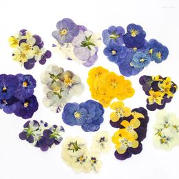 Fleurs décoratives 120 PCS Presse Presse Pansy Flower Filler pour collier pendentif en résine époxy