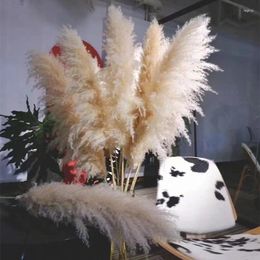 Decoratieve Bloemen 120 Cm Pampas Gras Grote Hoge Pluizige Gedroogde Boho Decor Planta Voor Vaas Thuis Bruiloft Bloemstuk