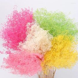 Fleurs décoratives 120g réel gypsophile sec naturel frais pour toujours babysbreath séché pour le bricolage éternel fleuri