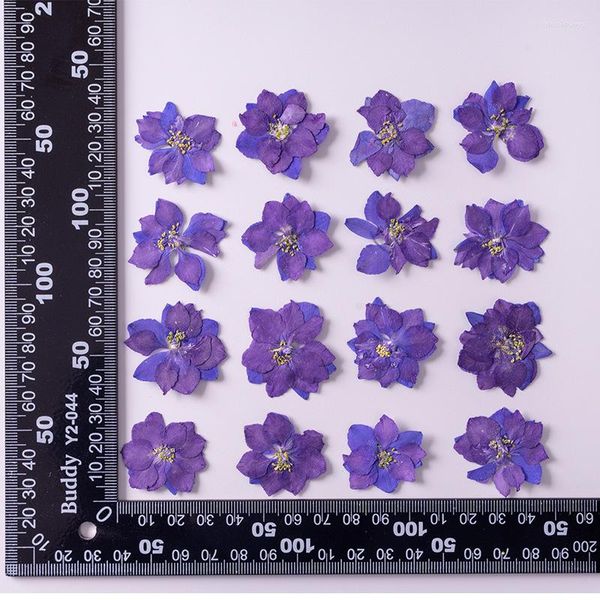 Fleurs décoratives 120 pièces 4-7 cm pressé séché violet Consolida Ajacis plantes à fleurs herbier pour la fabrication de bijoux cadre de carte postale étui de téléphone