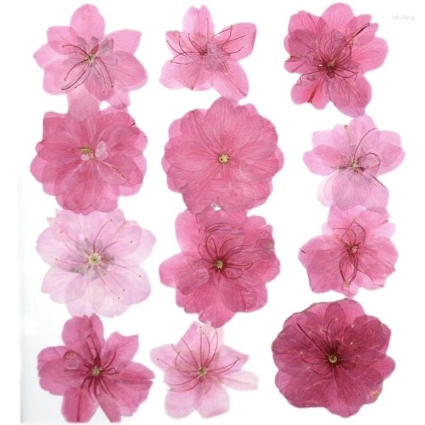 Fleurs décoratives 120 pièces mélange de fleurs séchées pressées fleurs de cerisier naturelles herbier résine époxy fabrication de bijoux maquillage visage Nail Art artisanat